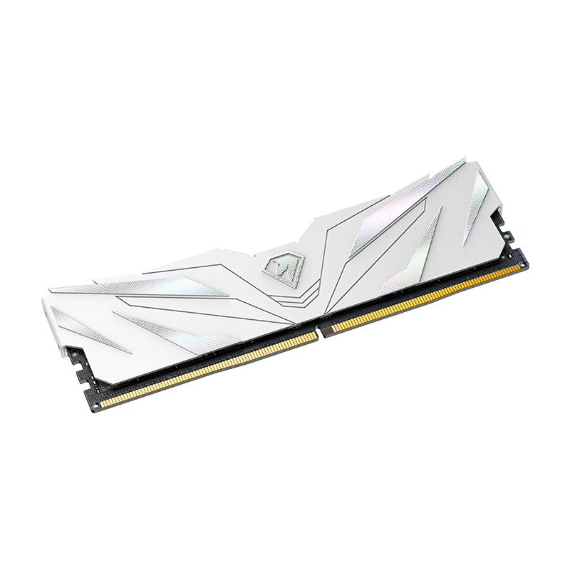 Memoria Ram DDR5 8GB Netac 4800MHz Shadow II White