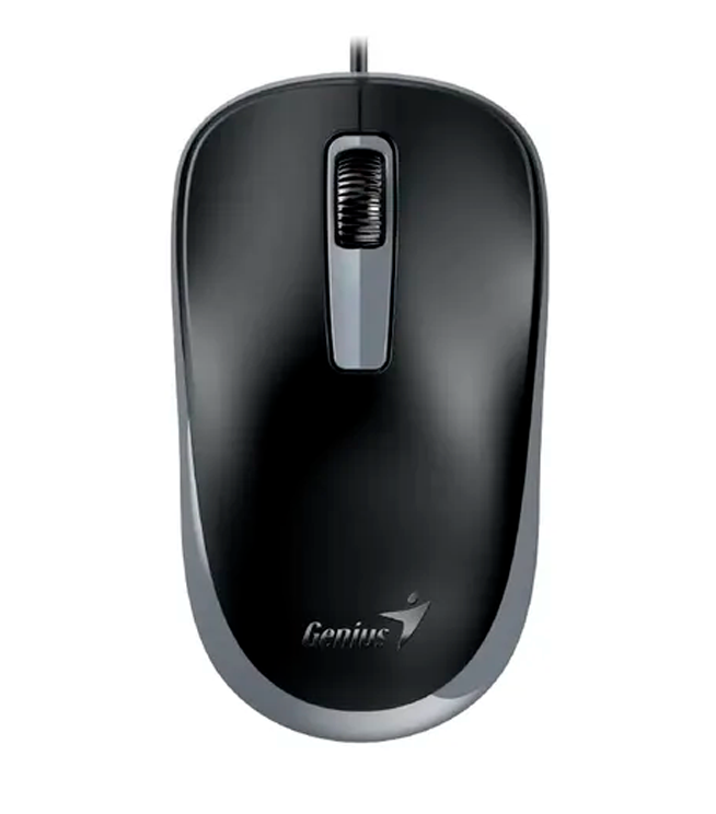 MOUSE GENIUS DX-125S USB BLACK/GREY