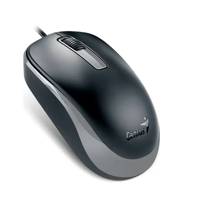 MOUSE GENIUS DX-125S USB BLACK/GREY