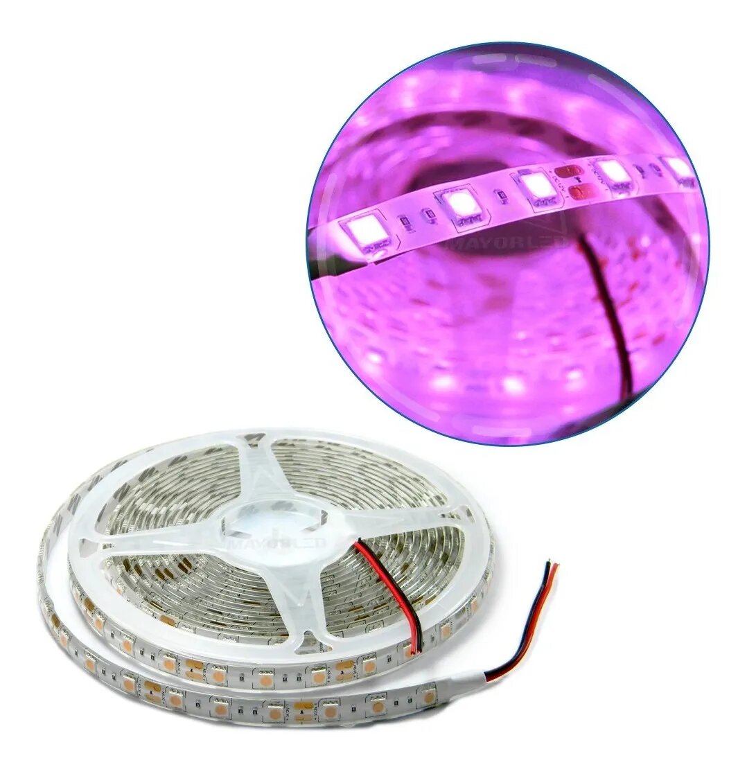 Tira LED 5050 12V Para Interior IP20 5m Color Rosa