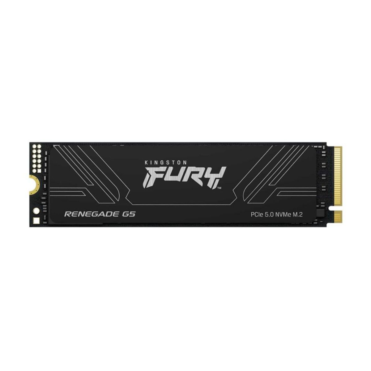 DISCO SSD M.2 NVME 1TB G5 KINGSTON FURY RENEGADE
