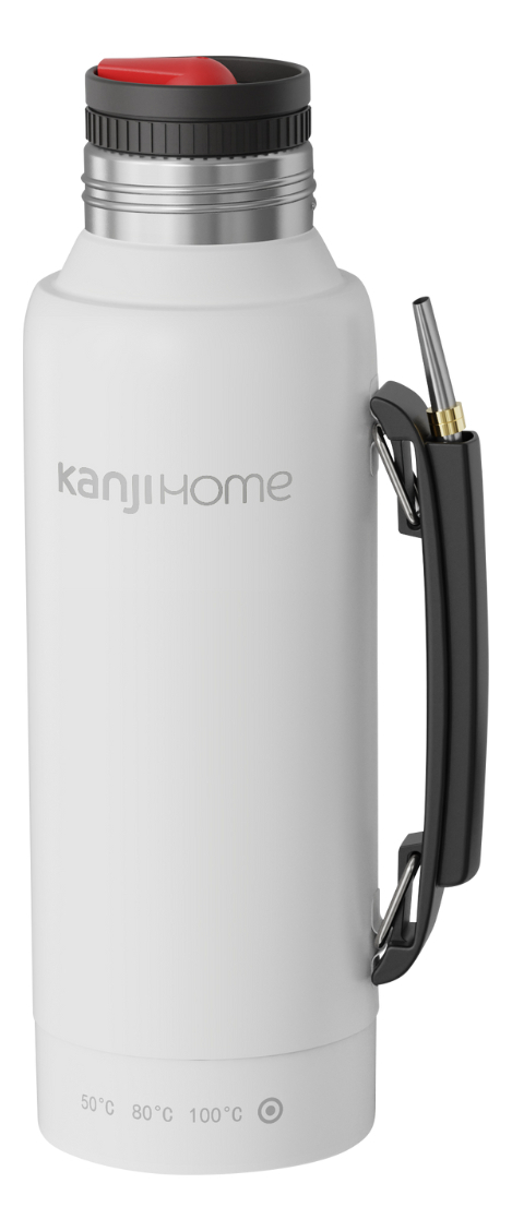 Termo Eléctrico T-mate 1 Litro Tapa Mate Y Bombilla Color Blanco