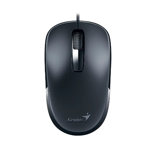 Mouse Genius Dx-125s Usb Black+grey