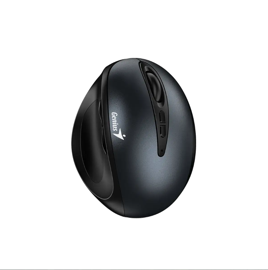 Mouse Genius Ergo 8300S Iron Gray