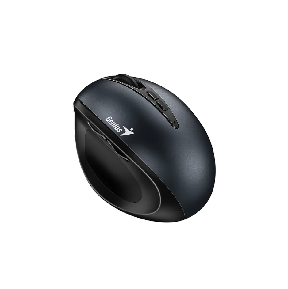 Mouse Genius Ergo 8300S Iron Gray