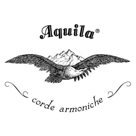 Aquila