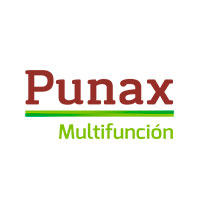 Punax
