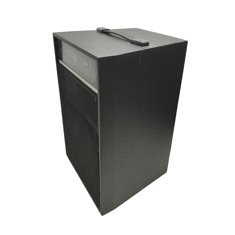 Par De Parlantes Potenciados 10 Pulgadas USB, SD 150W