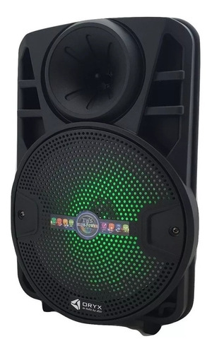 Parlante Portátil 8 Pulgadas Inalámbrico Bluetooth Micrófono Karaoke