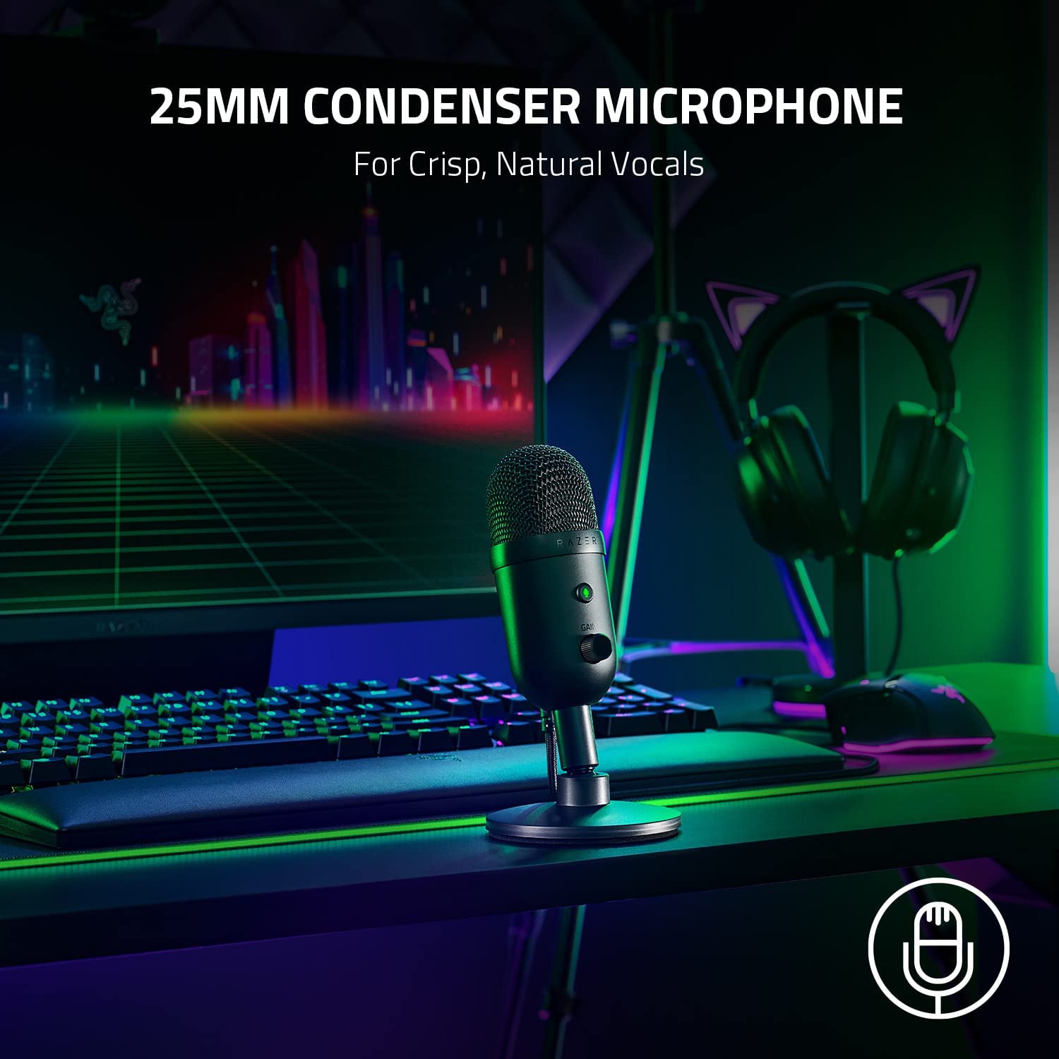 Perifericos Microfono Razer Seiren V2 X RZ19-04050100-R3U1