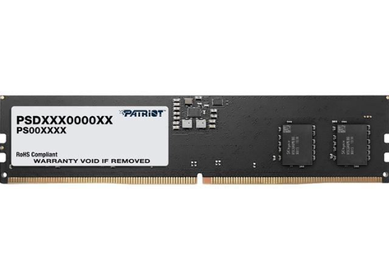 Memoria Ram DDR5 8GB Patriot Signature Line 4800MHz
