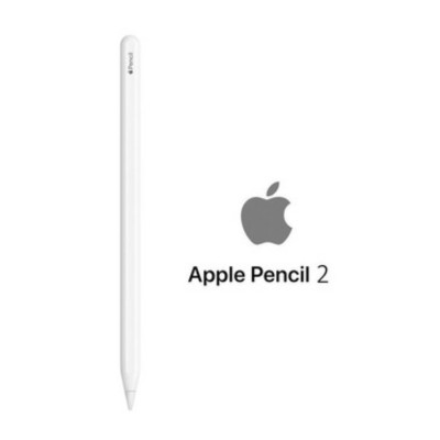 VARIOS APPLE PENCIL 2 GENERATION A2051