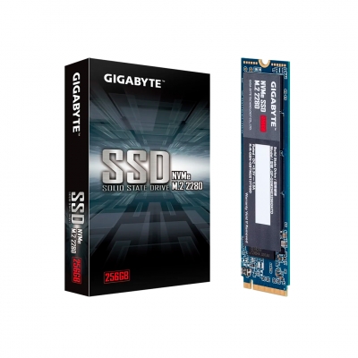DISCO SSD M.2 GIGABYTE 256GB NVME